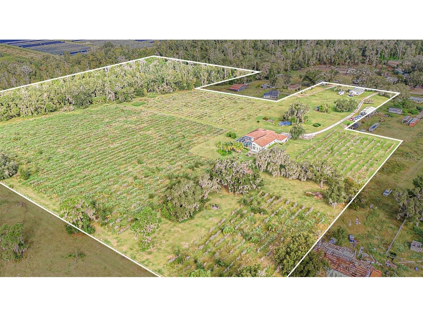 331 Lewis Road Lithia FL 33547 T3483077 image76