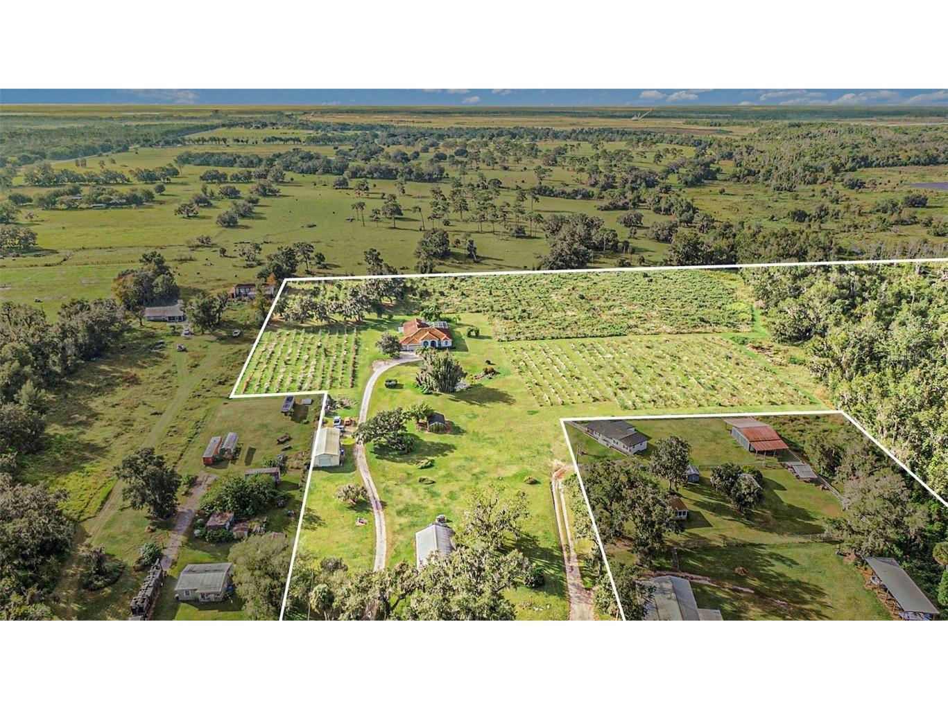 331 Lewis Road Lithia FL 33547 T3483077 image77