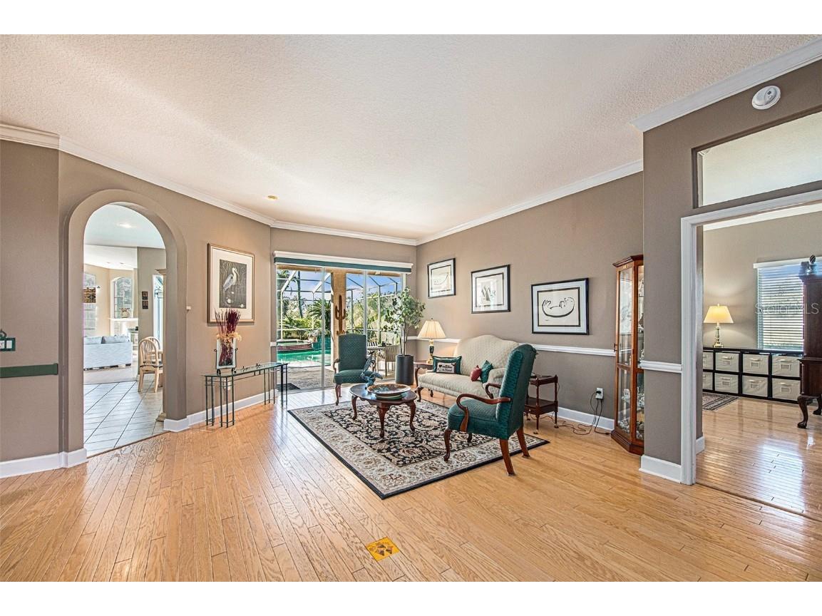 331 Lewis Road Lithia FL 33547 T3483077 image9