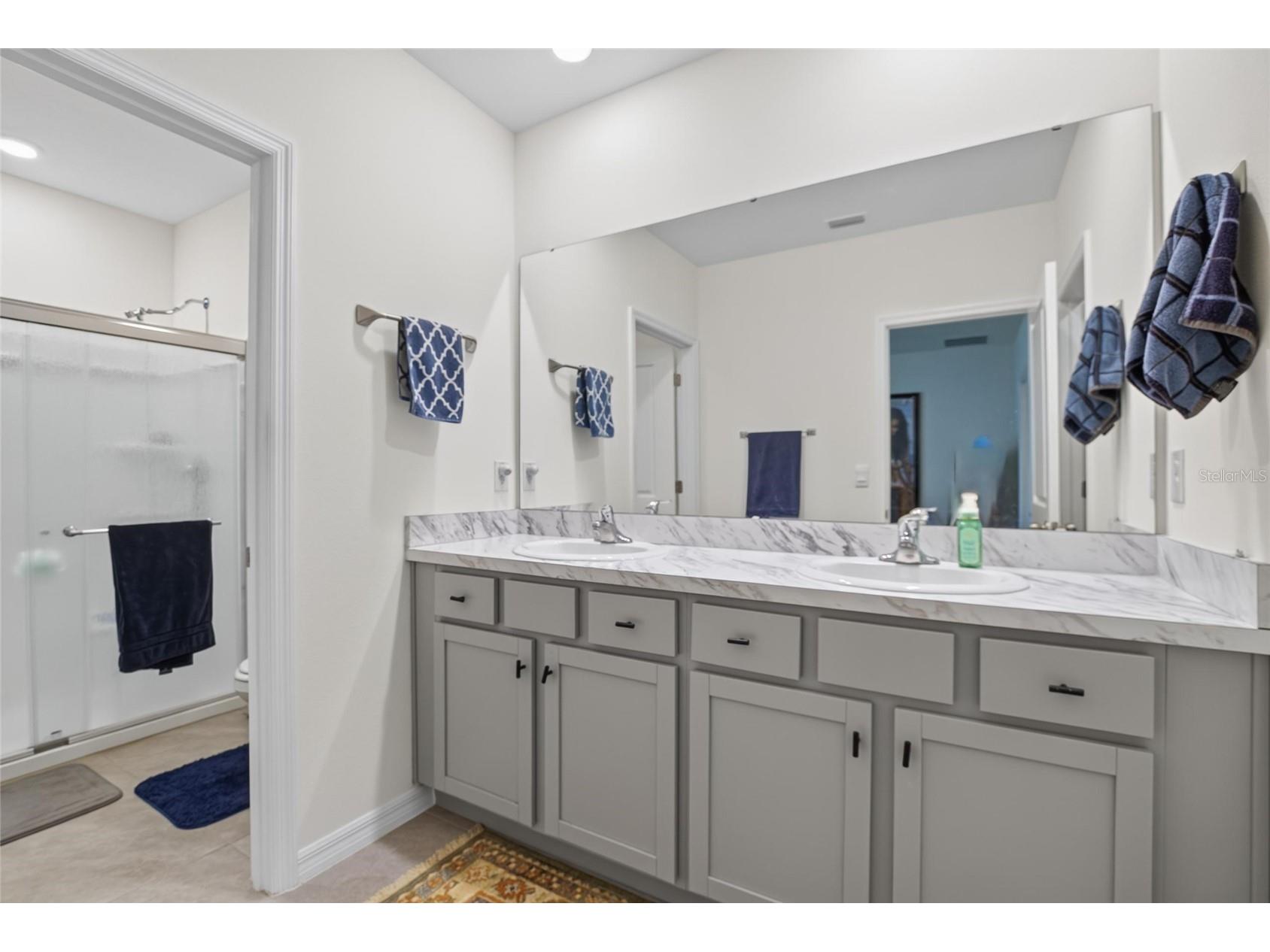 331 Mangrove Shade Circle Apollo Beach FL 33572 TB8521340 image23