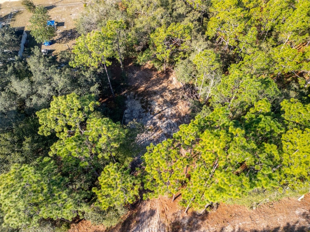 331 Quail Hollow Road Satsuma FL 32189 FC314869 image5