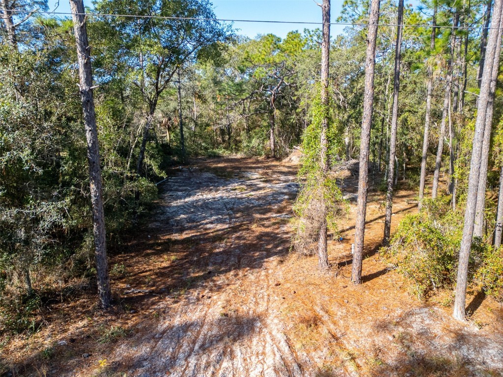 331 Quail Hollow Road Satsuma FL 32189 FC314869 image6