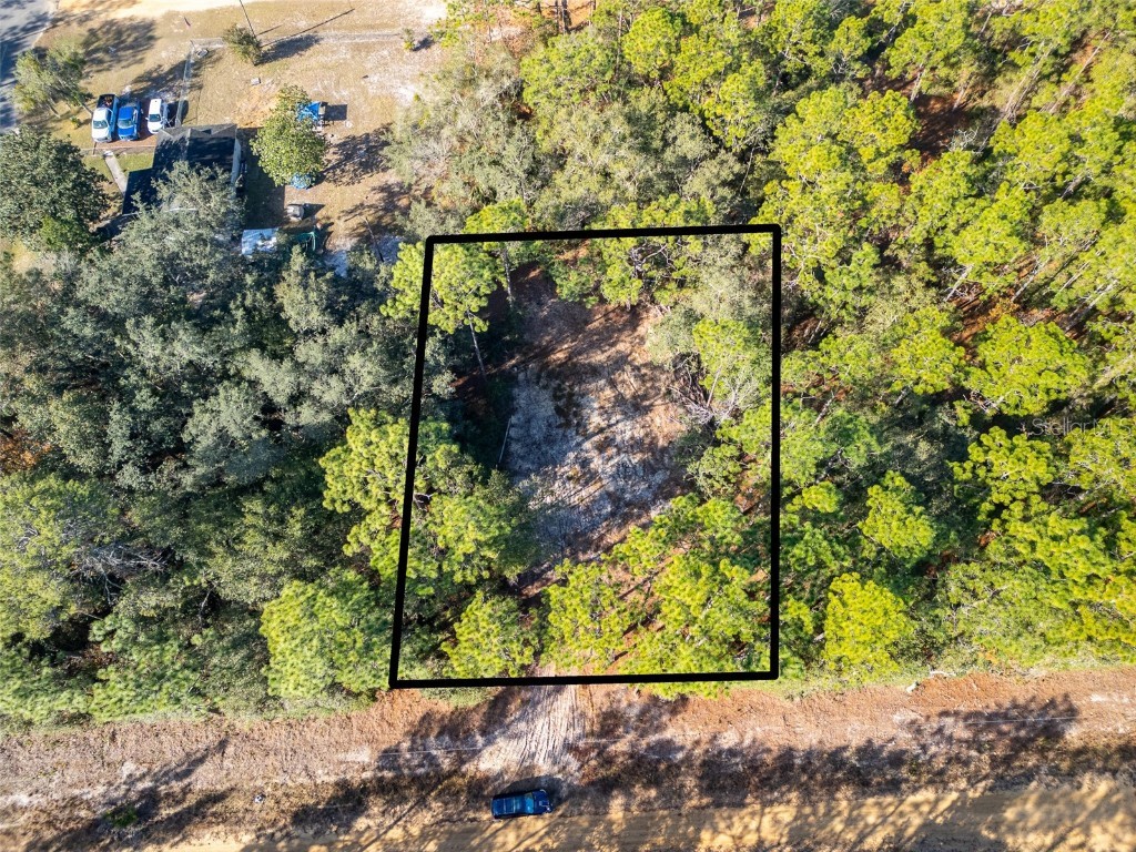 331 Quail Hollow Road Satsuma FL 32189 FC314869 image8