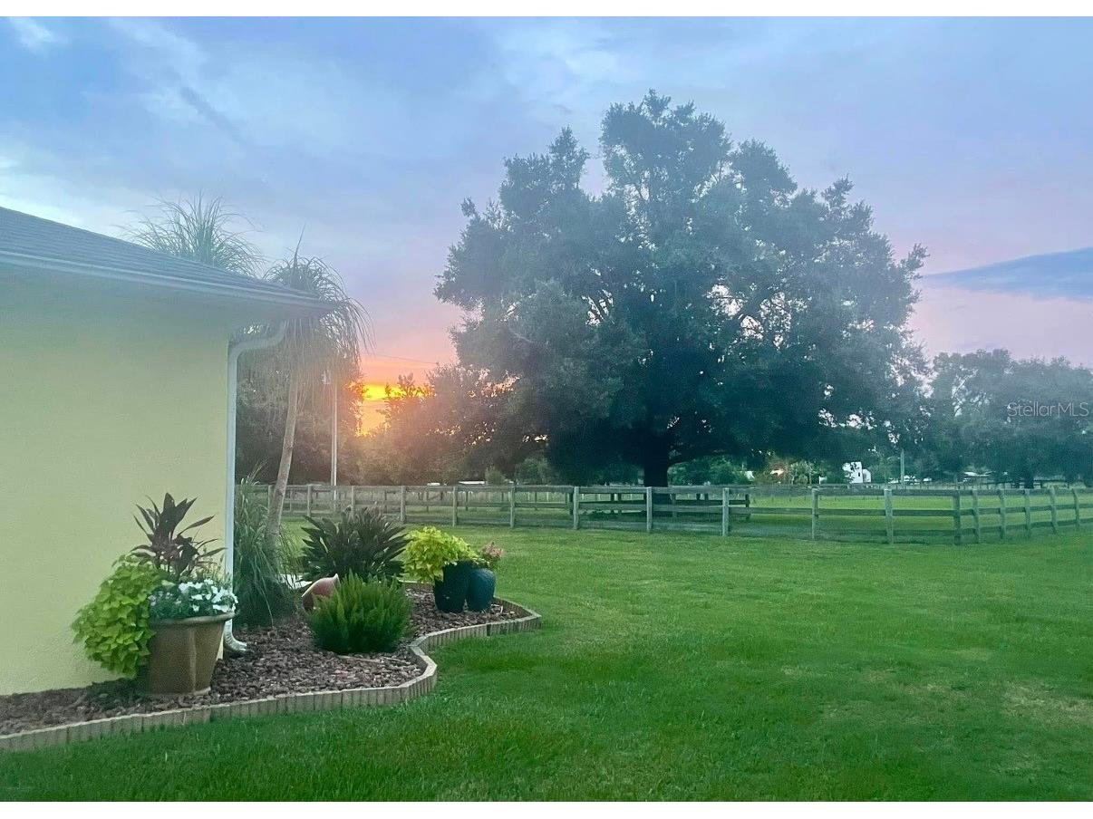 331 SE Highway 42 Summerfield FL 34491 A4682173 image8