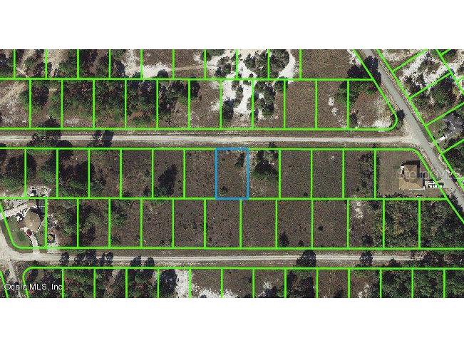 331 Sunflower Avenue Lake Placid FL 33852 OM542101 image1