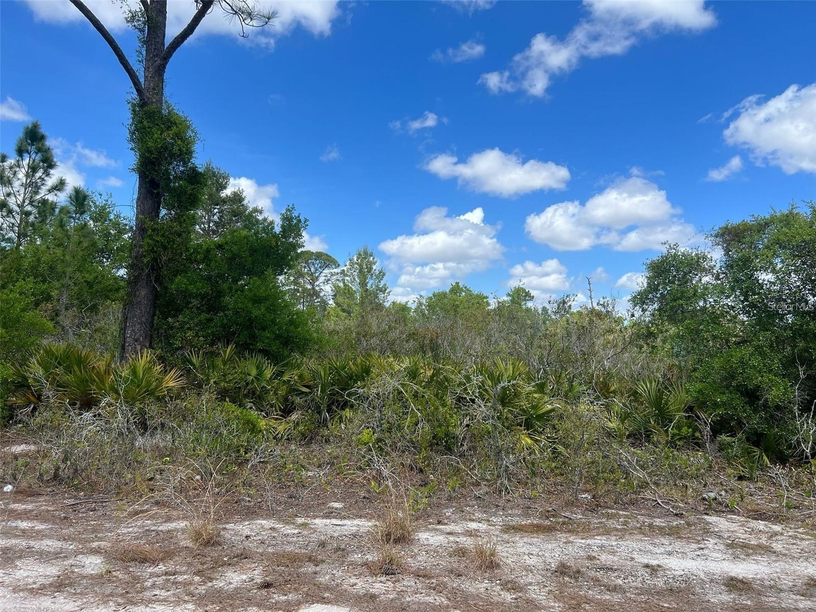 331 Tanager Avenue Sebring FL 33870 O6377658 image2