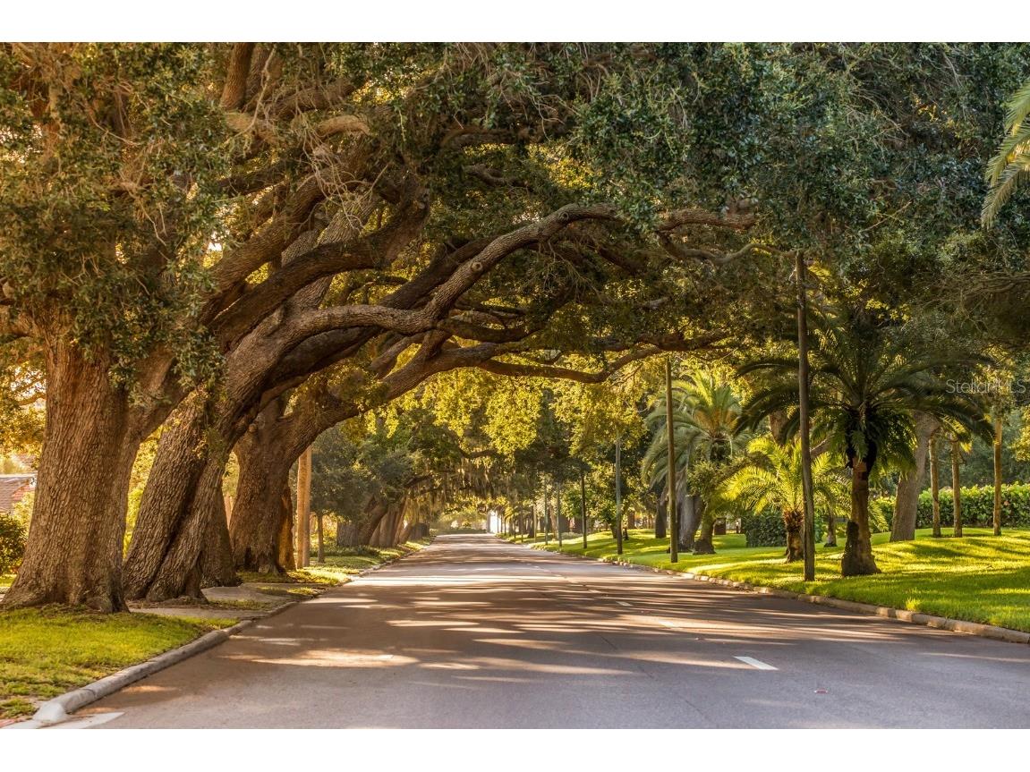 331 Toscavilla Boulevard Nokomis FL 34275 N6140627 image61