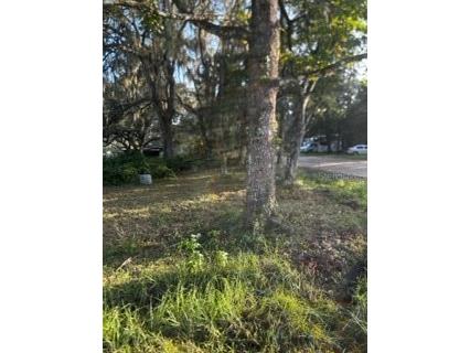 3310 Deepwood Street Brooksville FL 34604 T3477910 image1