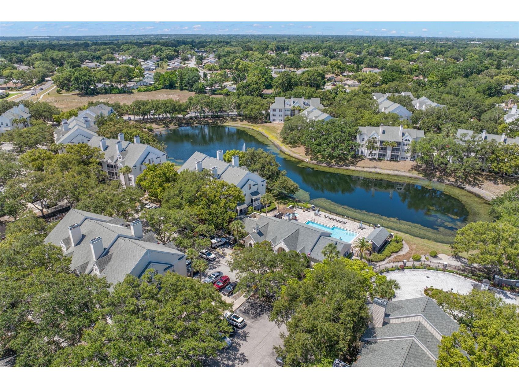 3310 Haviland Court #104 Palm Harbor FL 34684 TB8521497 image29
