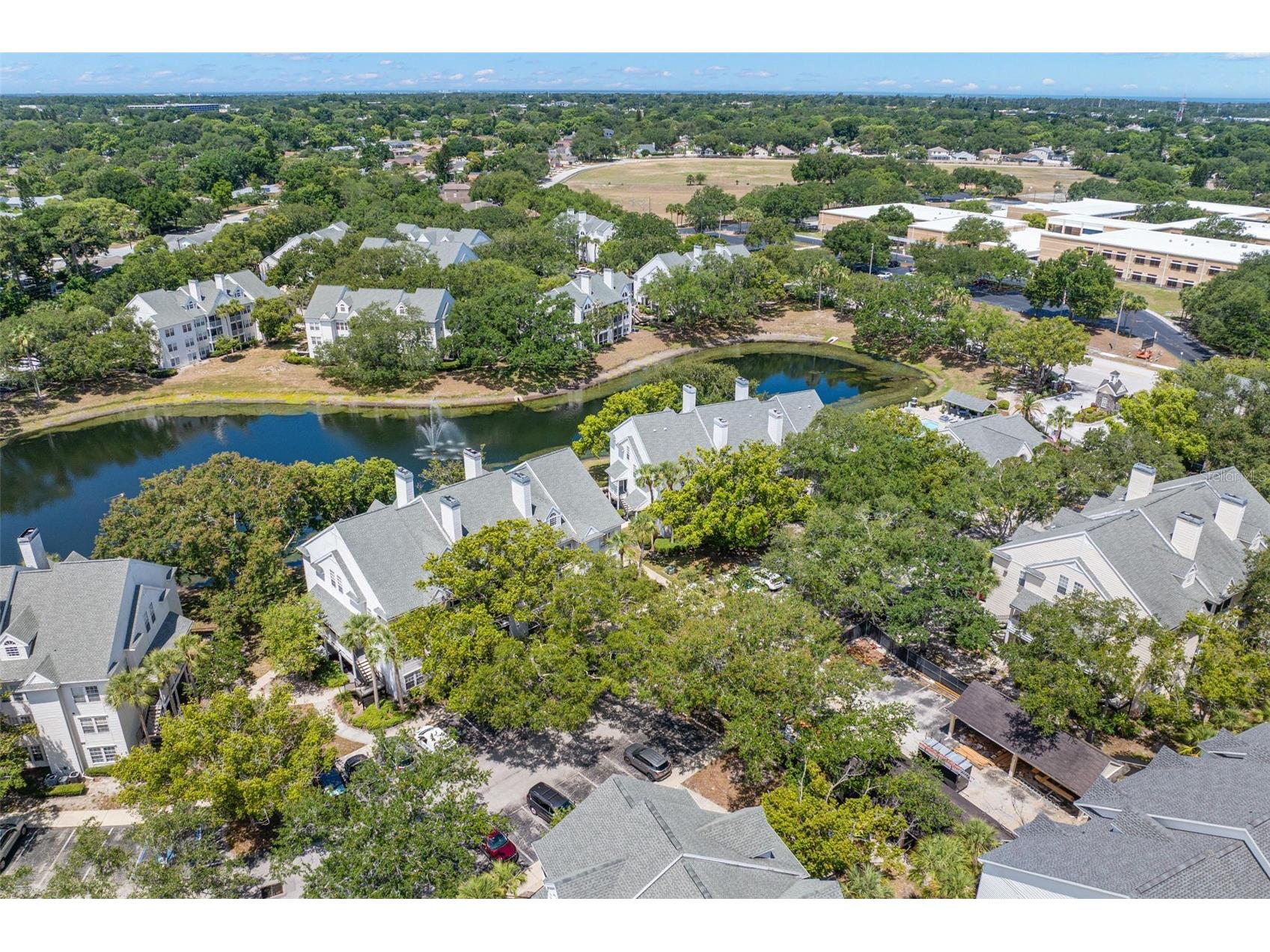 3310 Haviland Court #104 Palm Harbor FL 34684 TB8521497 image30