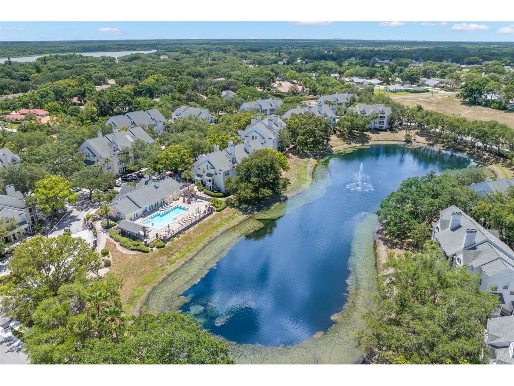3310 Haviland Court #104 Palm Harbor FL 34684 TB8521497 image31