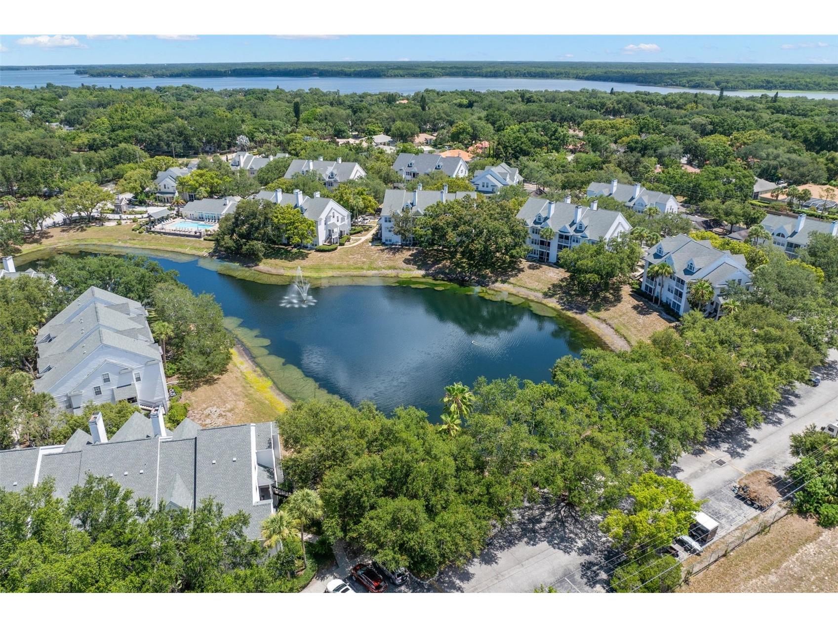 3310 Haviland Court #104 Palm Harbor FL 34684 TB8521497 image32