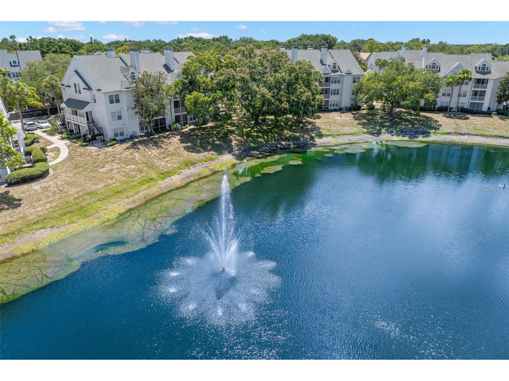 3310 Haviland Court #104 Palm Harbor FL 34684 TB8521497 image33