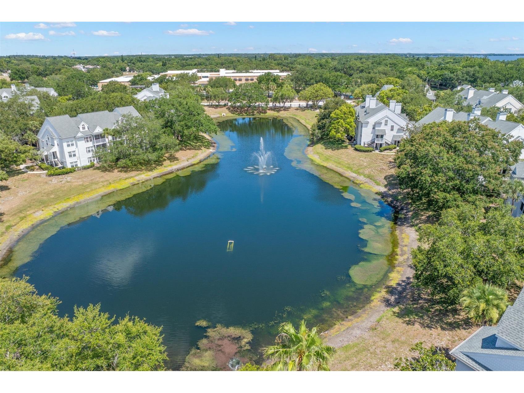 3310 Haviland Court #104 Palm Harbor FL 34684 TB8521497 image34
