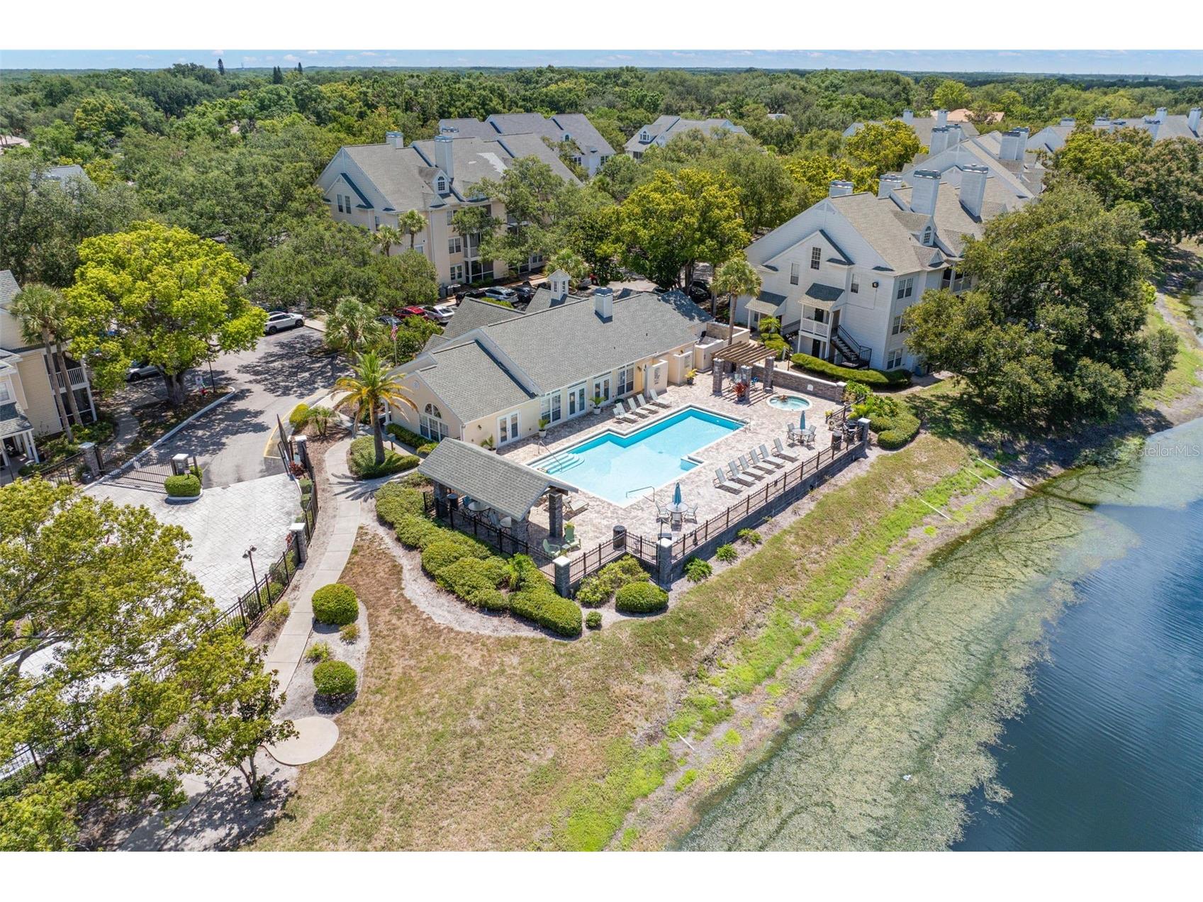 3310 Haviland Court #104 Palm Harbor FL 34684 TB8521497 image35