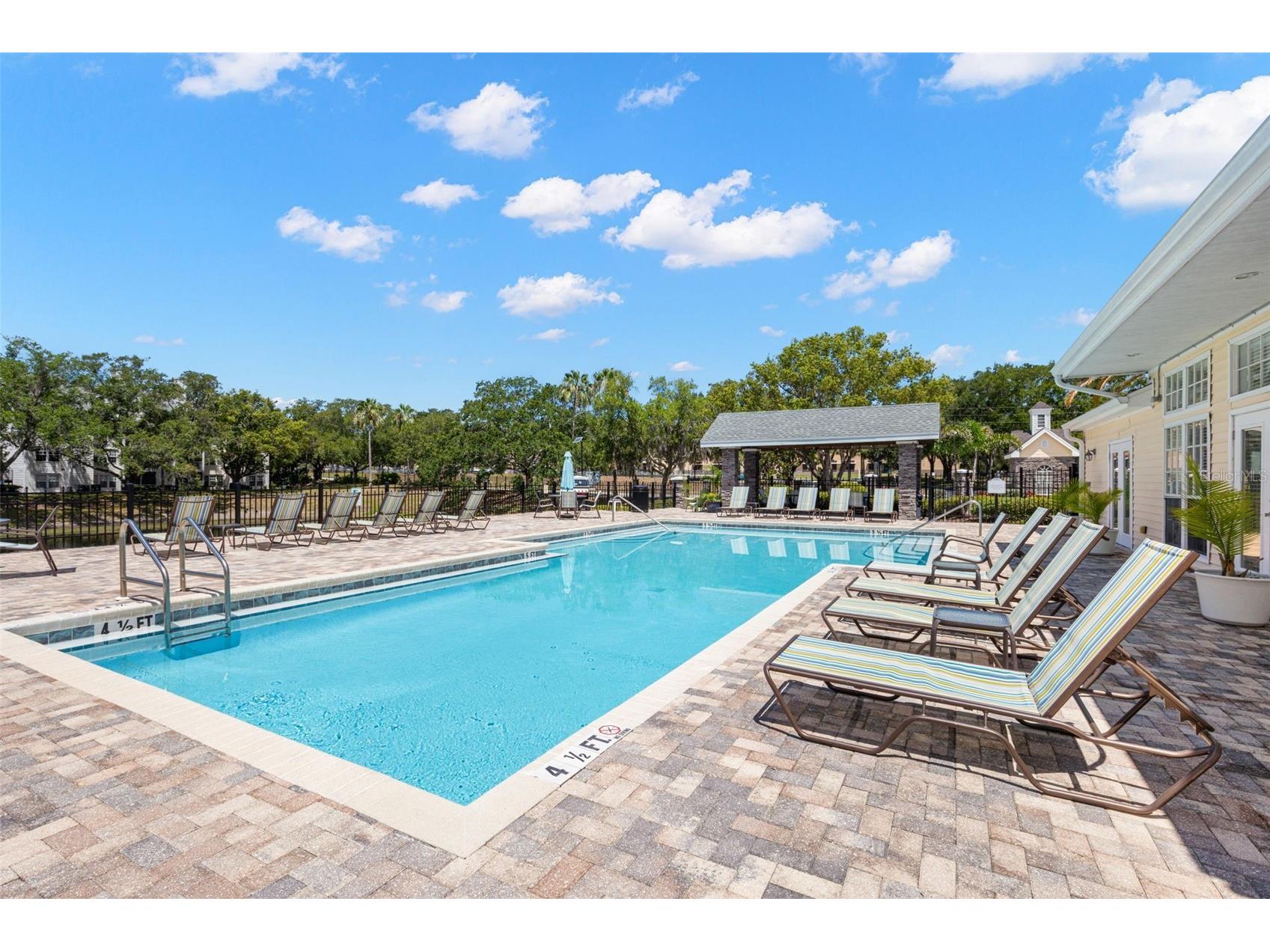 3310 Haviland Court #104 Palm Harbor FL 34684 TB8521497 image43