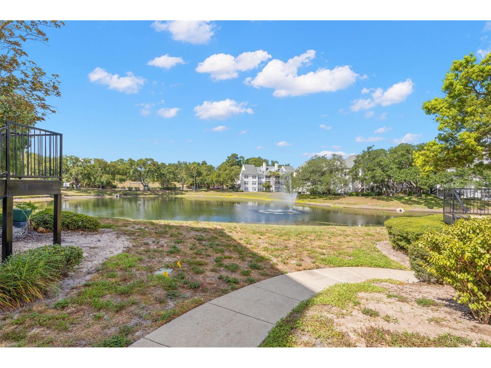 3310 Haviland Court #104 Palm Harbor FL 34684 TB8521497 image5
