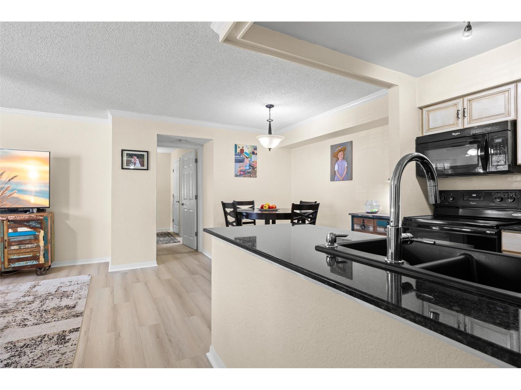 3310 Haviland Court #104 Palm Harbor FL 34684 TB8521497 image6