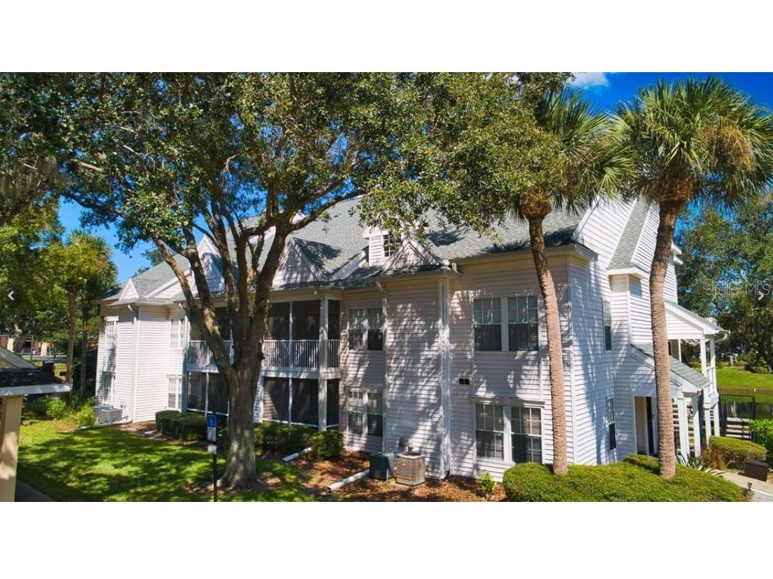 3310 Haviland Court #302 Palm Harbor FL 34684 U8197044 image1