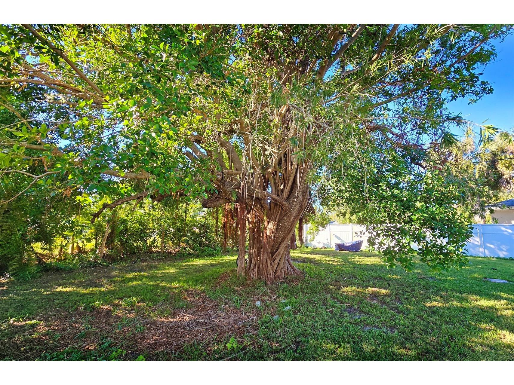 3310 Lexington Street Sarasota FL 34231 A4682557 image15