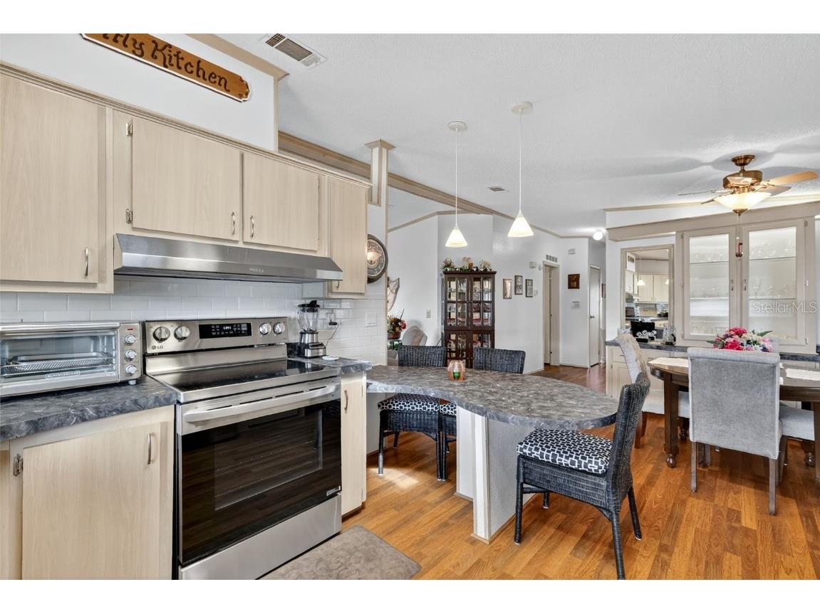 3310 Manatee Road Tavares FL 32778 - HARRIS CHAIN OF LAKES G5102114 image12