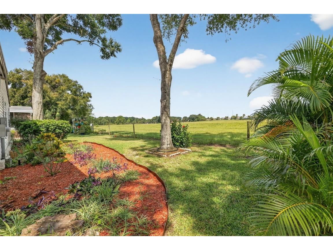 3310 Manatee Road Tavares FL 32778 - HARRIS CHAIN OF LAKES G5102114 image6