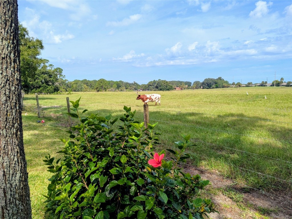 3310 Manatee Road Tavares FL 32778 - HARRIS CHAIN OF LAKES G5102114 image7