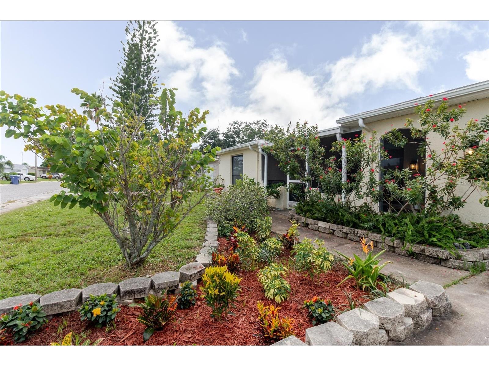 3310 Salisbury Dr Holiday FL 34691 TB8418443 image1