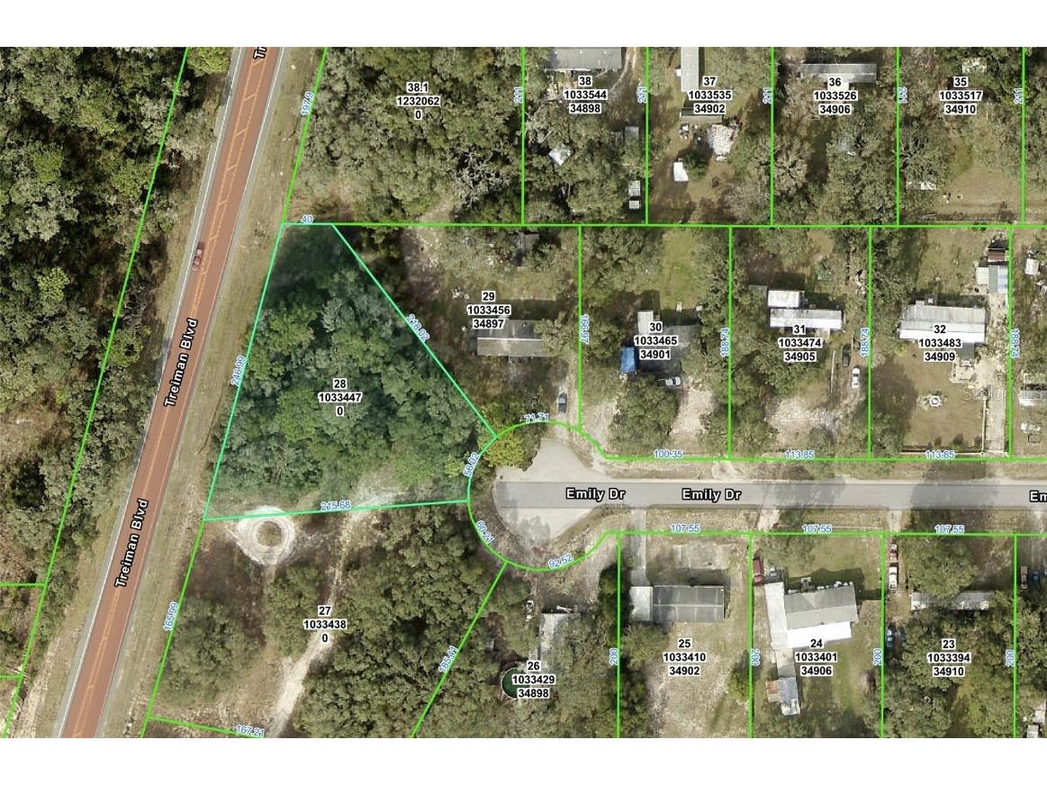 3310 Treiman Boulevard Dade City FL 33523 TB8402623 image10