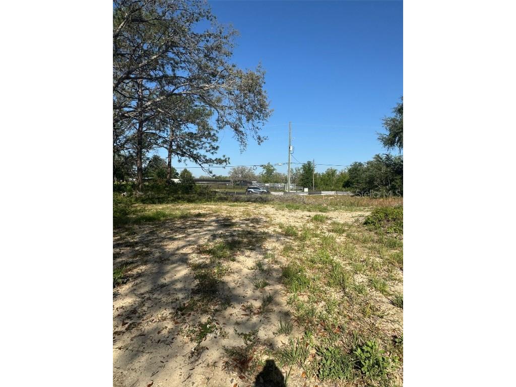 3310 Treiman Boulevard Dade City FL 33523 TB8402623 image2