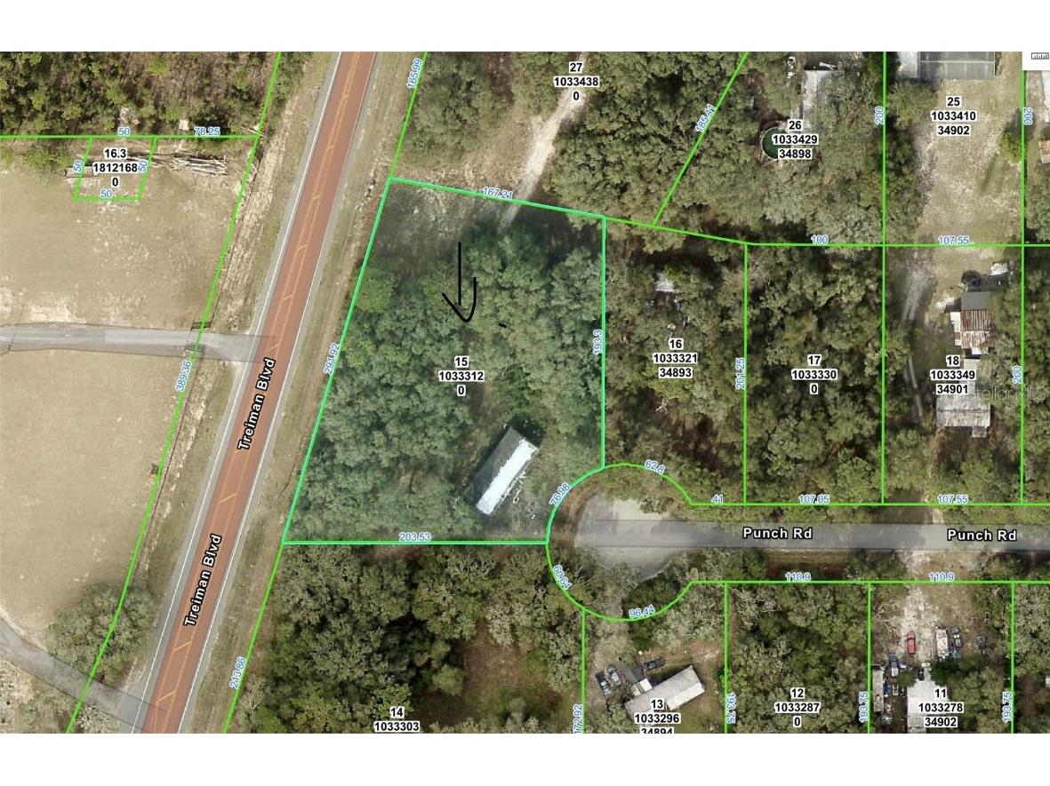 3310 Treiman Boulevard Dade City FL 33523 TB8402623 image9