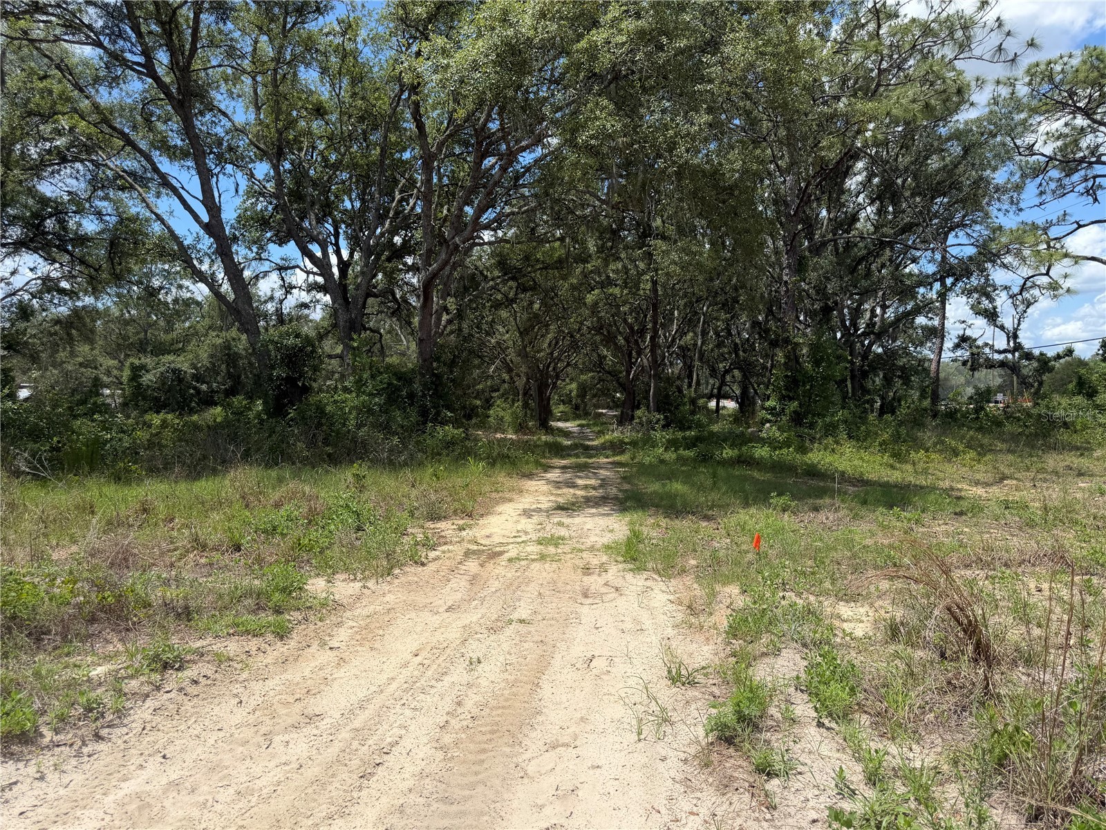 3310 Treiman Boulevard Dade City FL 33523 TB8515241 image10