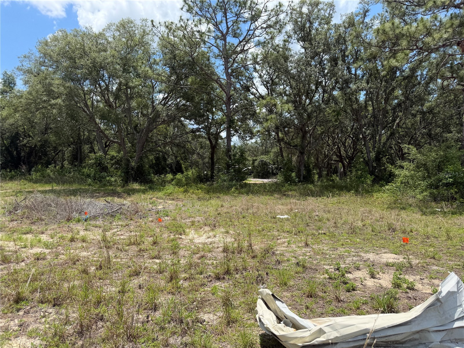 3310 Treiman Boulevard Dade City FL 33523 TB8515241 image11