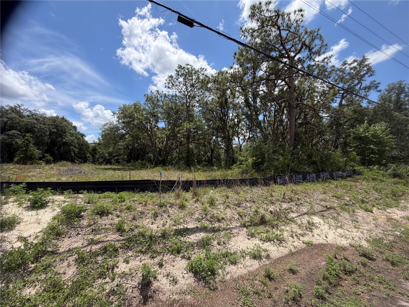 3310 Treiman Boulevard Dade City FL 33523 TB8515241 image12