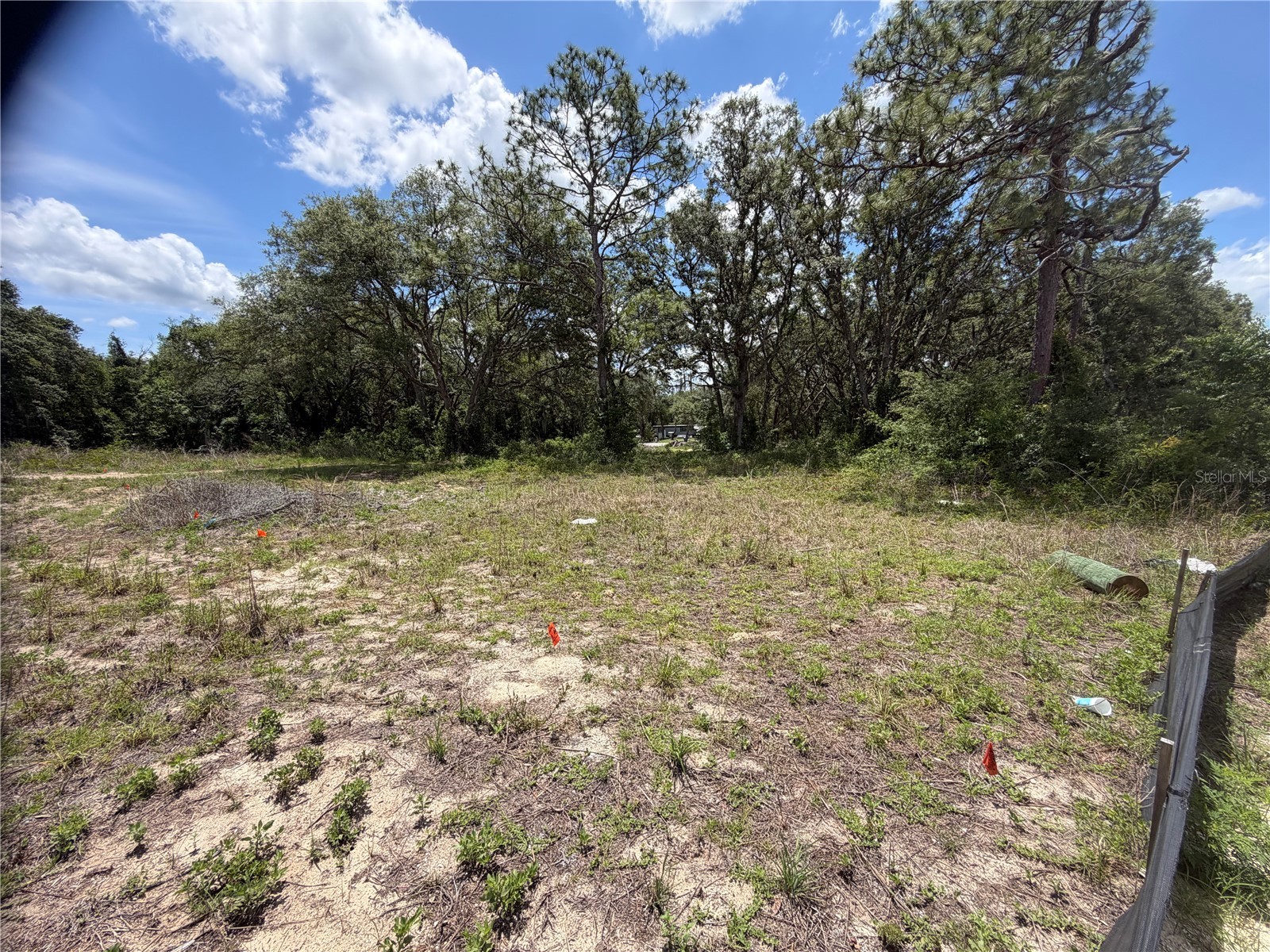 3310 Treiman Boulevard Dade City FL 33523 TB8515241 image14