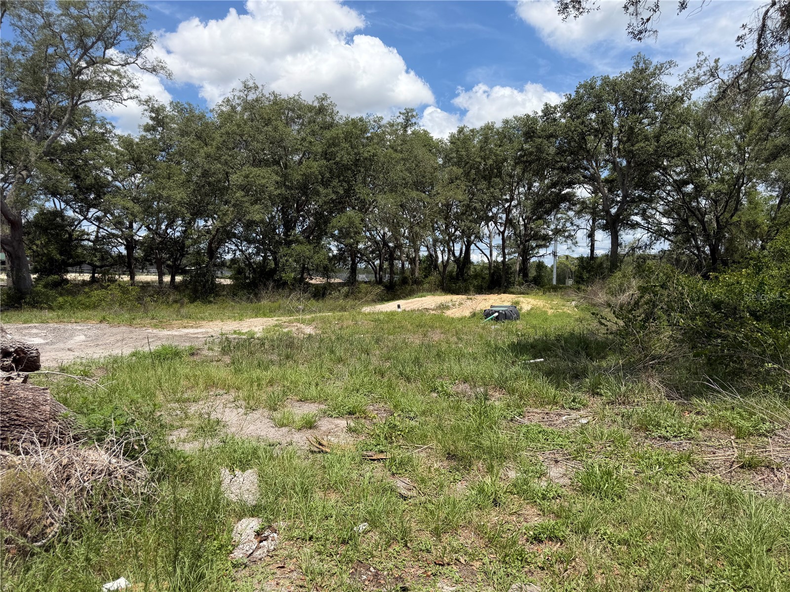 3310 Treiman Boulevard Dade City FL 33523 TB8515241 image4