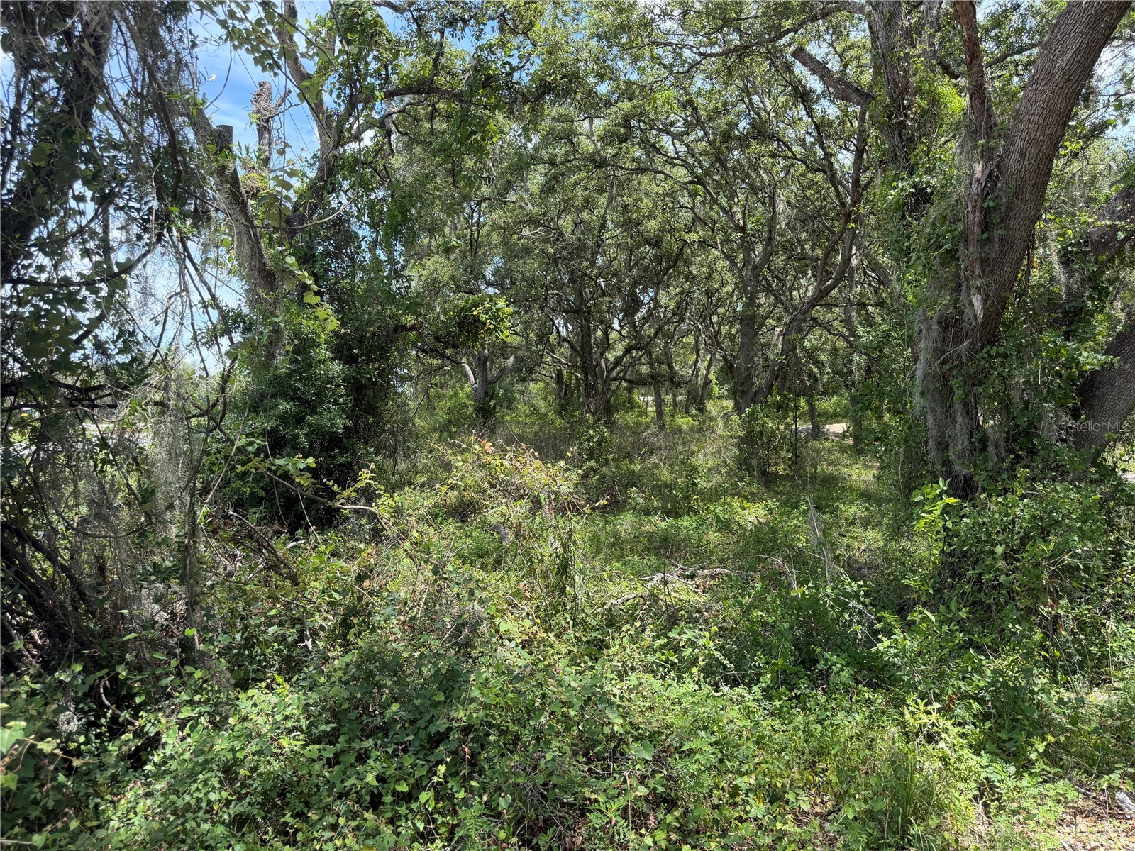 3310 Treiman Boulevard Dade City FL 33523 TB8515241 image8