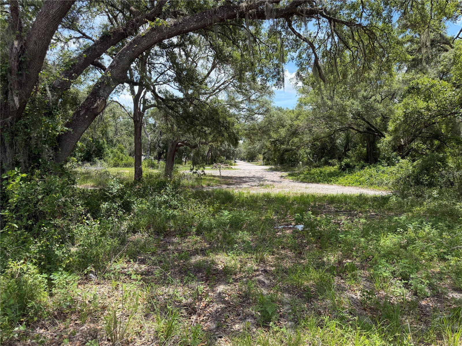 3310 Treiman Boulevard Dade City FL 33523 TB8515241 image9
