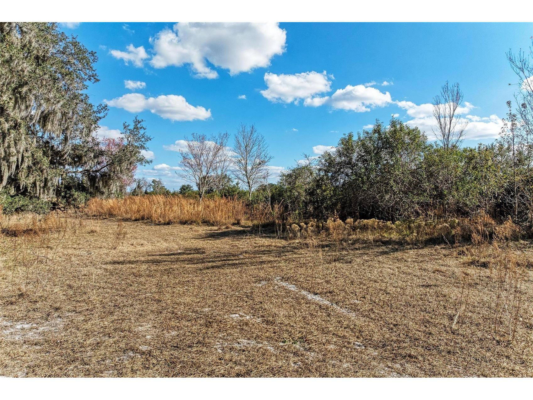 33100 & 33070 Taylor Grade Road Parrish FL 34219 A4681261 image10