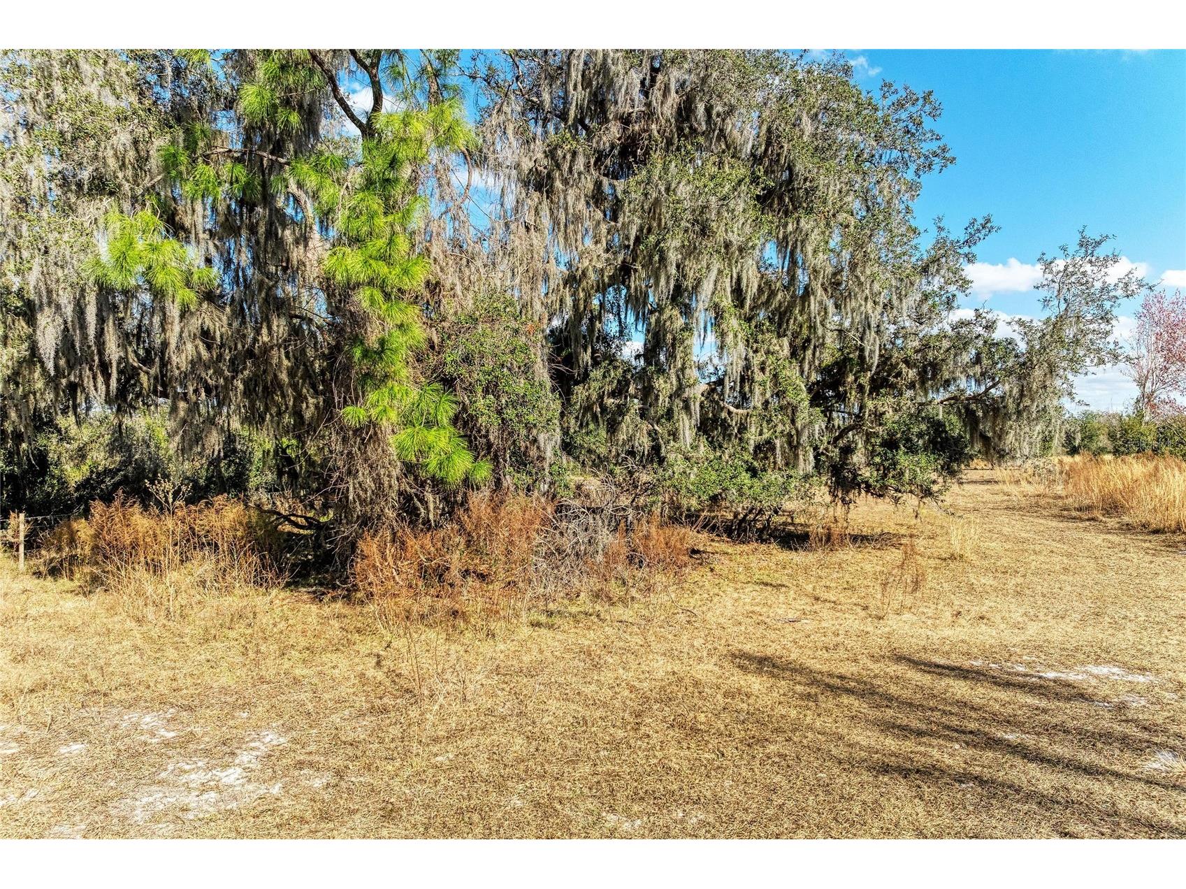 33100 & 33070 Taylor Grade Road Parrish FL 34219 A4681261 image12