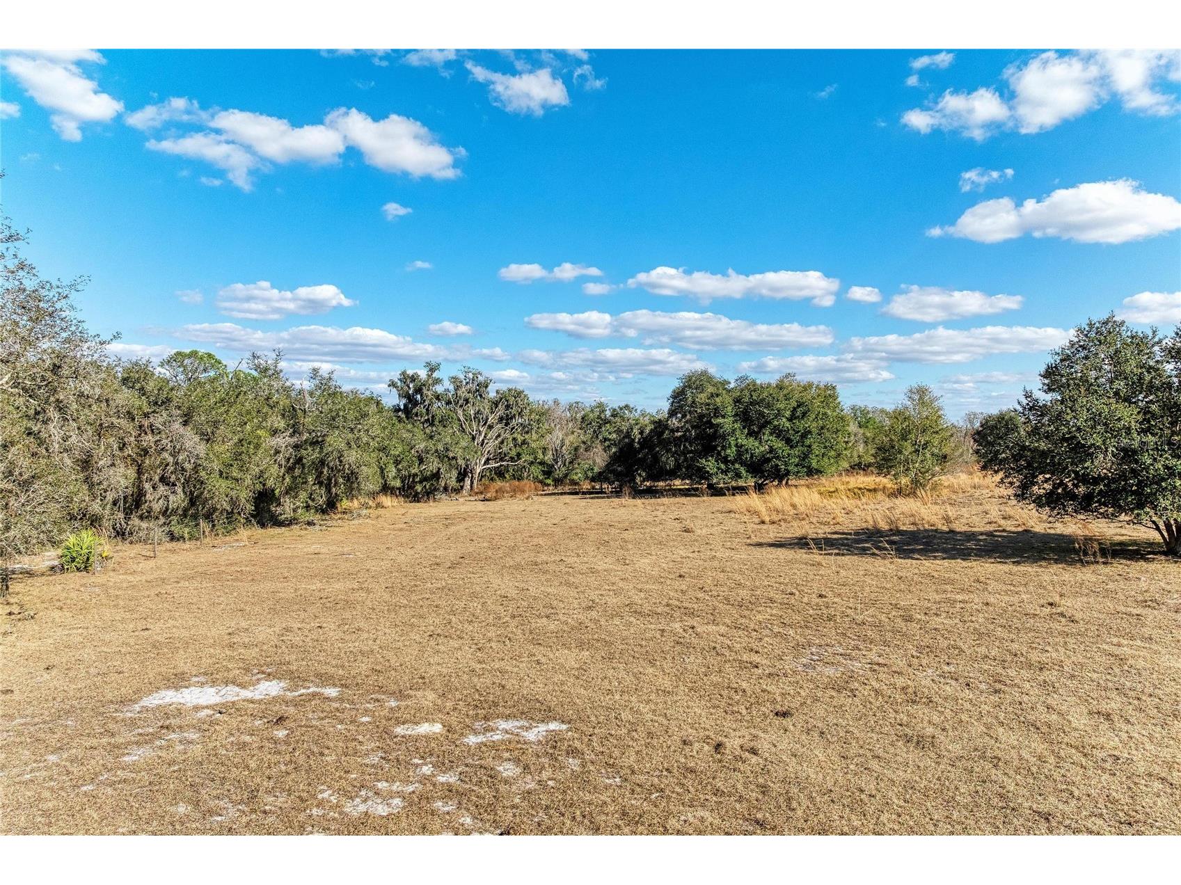 33100 & 33070 Taylor Grade Road Parrish FL 34219 A4681261 image13