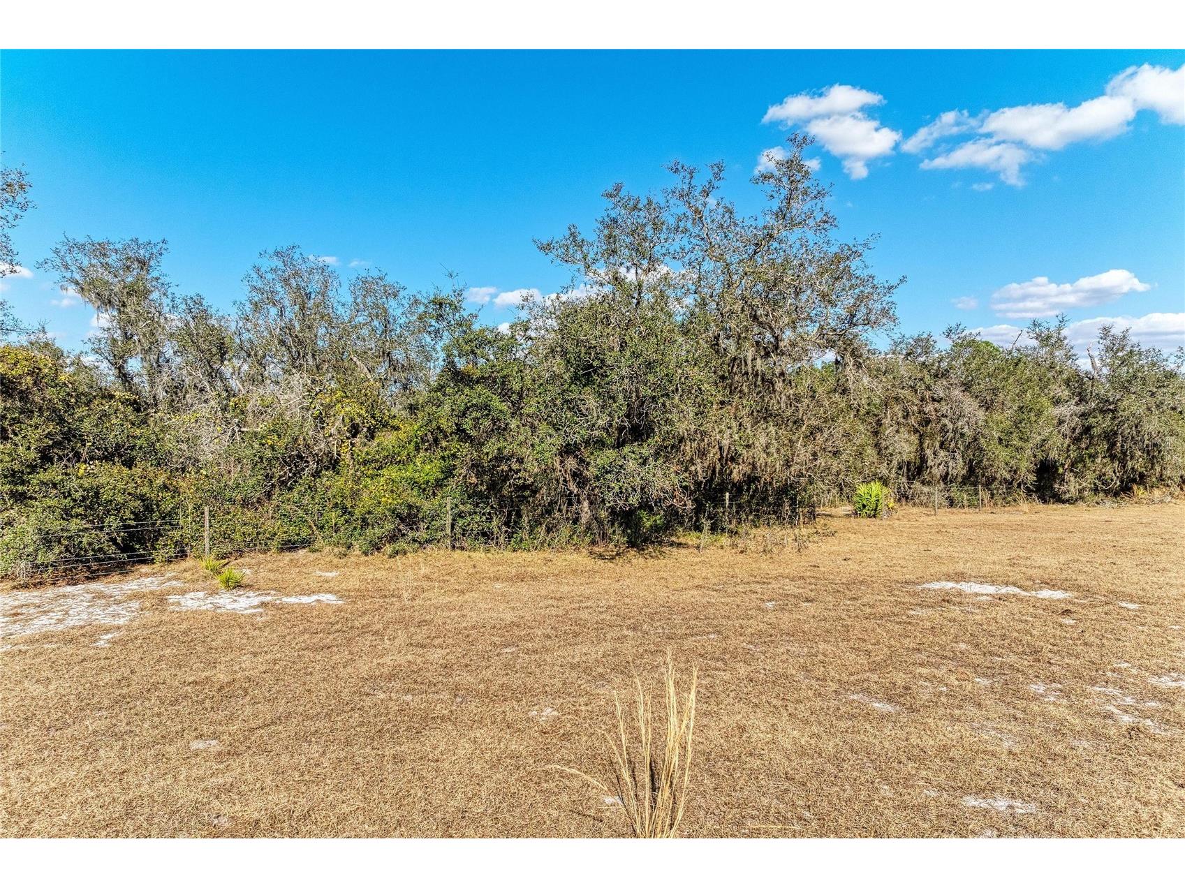 33100 & 33070 Taylor Grade Road Parrish FL 34219 A4681261 image14