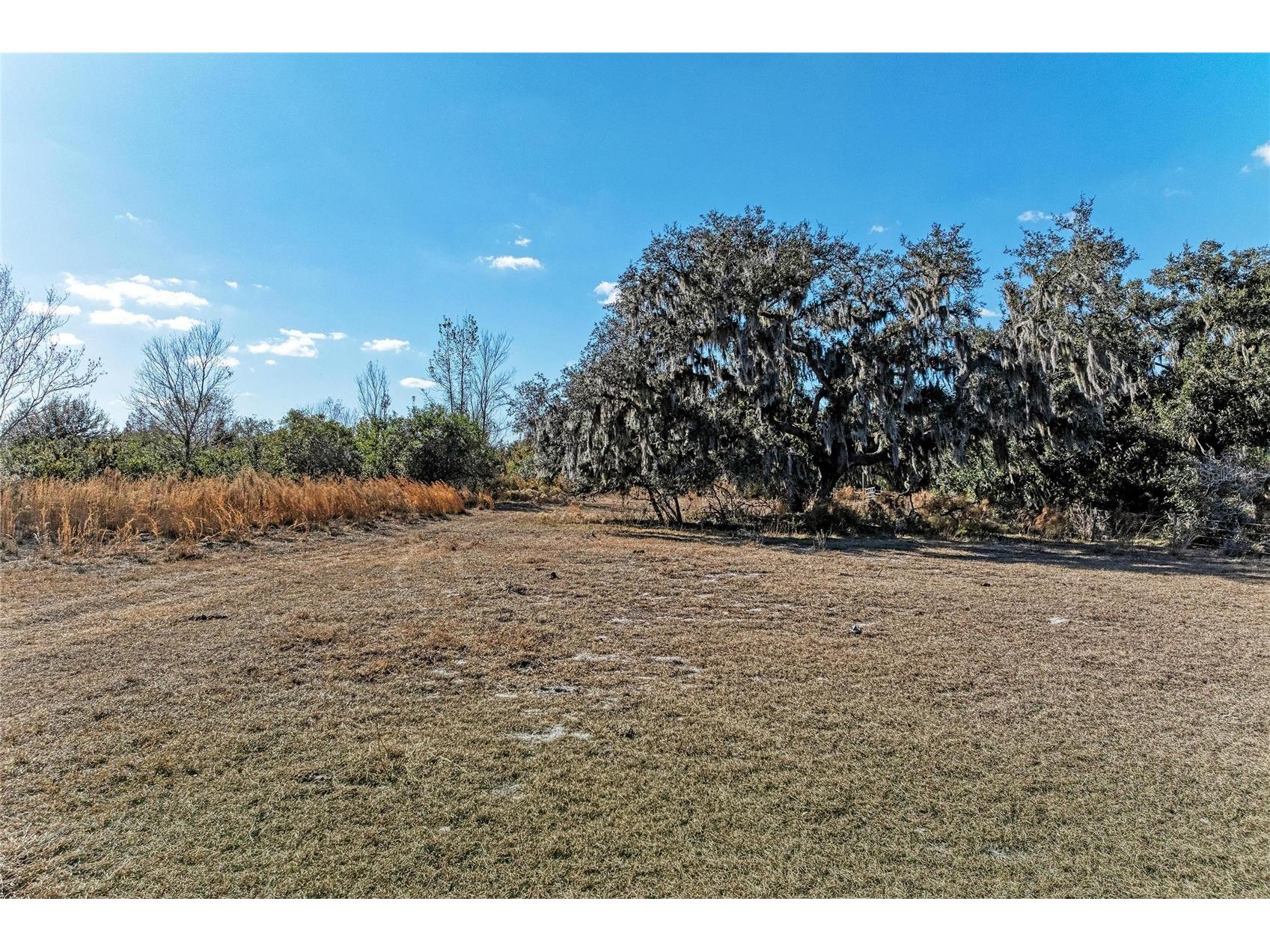 33100 & 33070 Taylor Grade Road Parrish FL 34219 A4681261 image16
