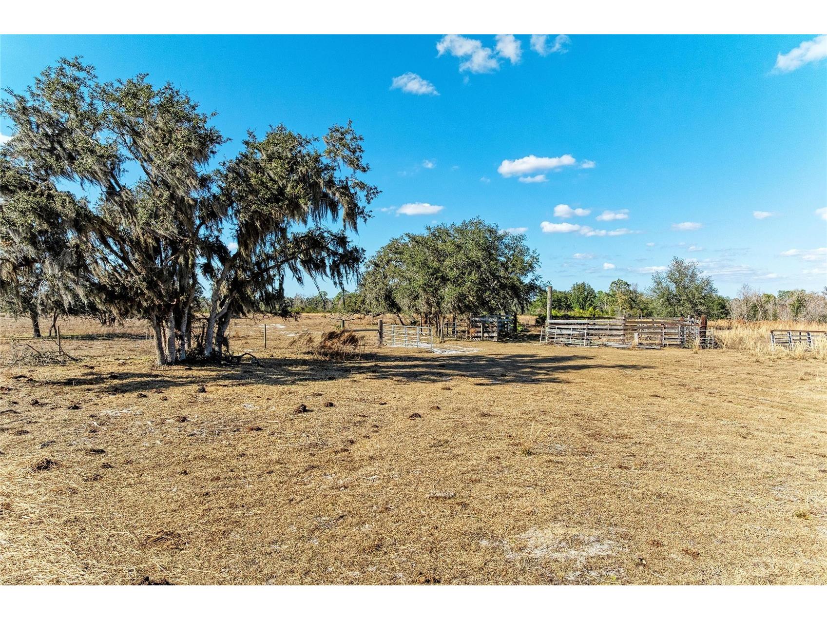 33100 & 33070 Taylor Grade Road Parrish FL 34219 A4681261 image17
