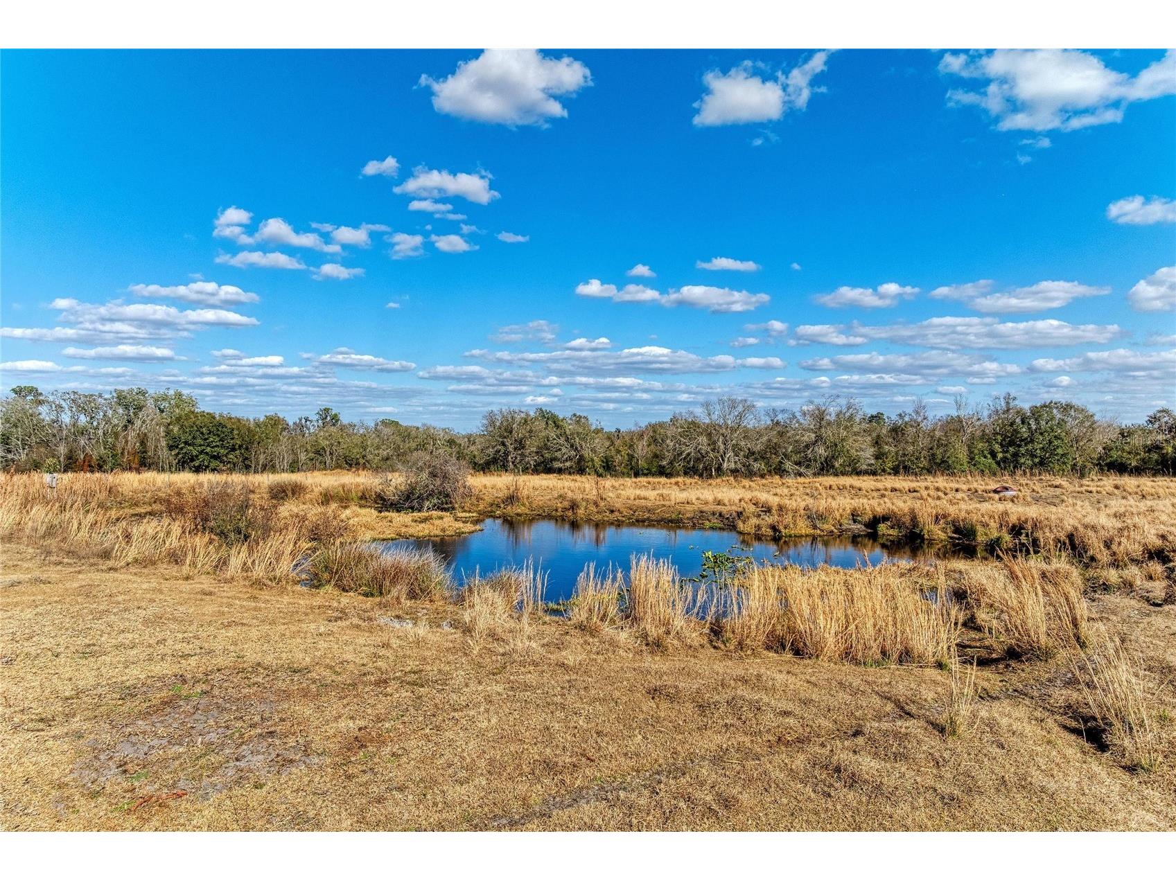 33100 & 33070 Taylor Grade Road Parrish FL 34219 A4681261 image18