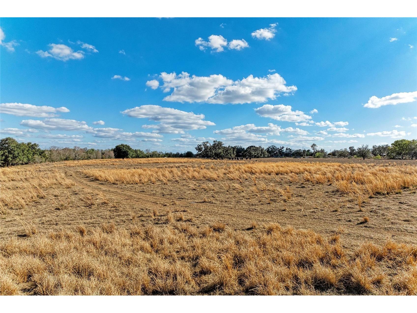 33100 & 33070 Taylor Grade Road Parrish FL 34219 A4681261 image21
