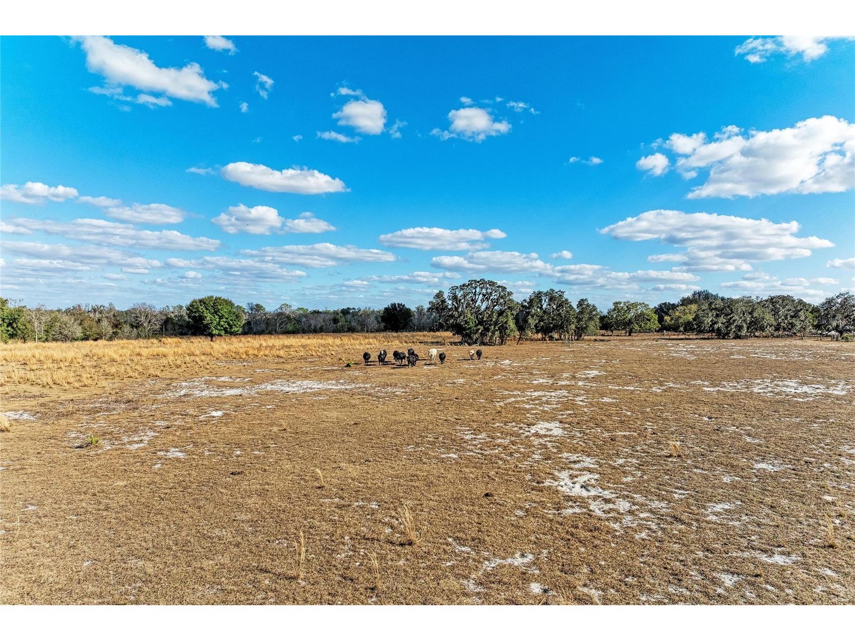 33100 & 33070 Taylor Grade Road Parrish FL 34219 A4681261 image22