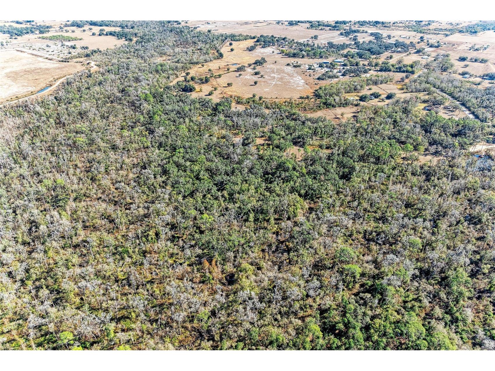 33100 & 33070 Taylor Grade Road Parrish FL 34219 A4681261 image30