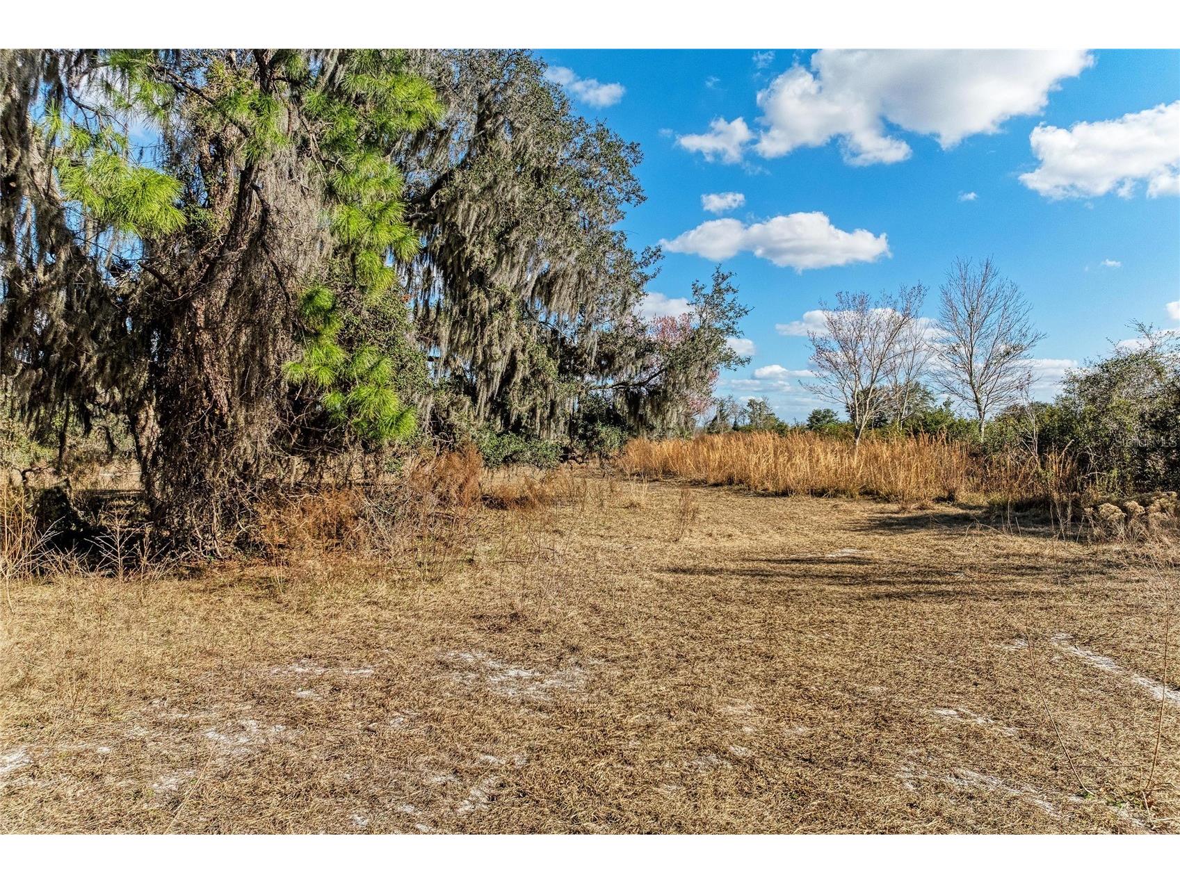 33100 & 33070 Taylor Grade Road Parrish FL 34219 A4681261 image9