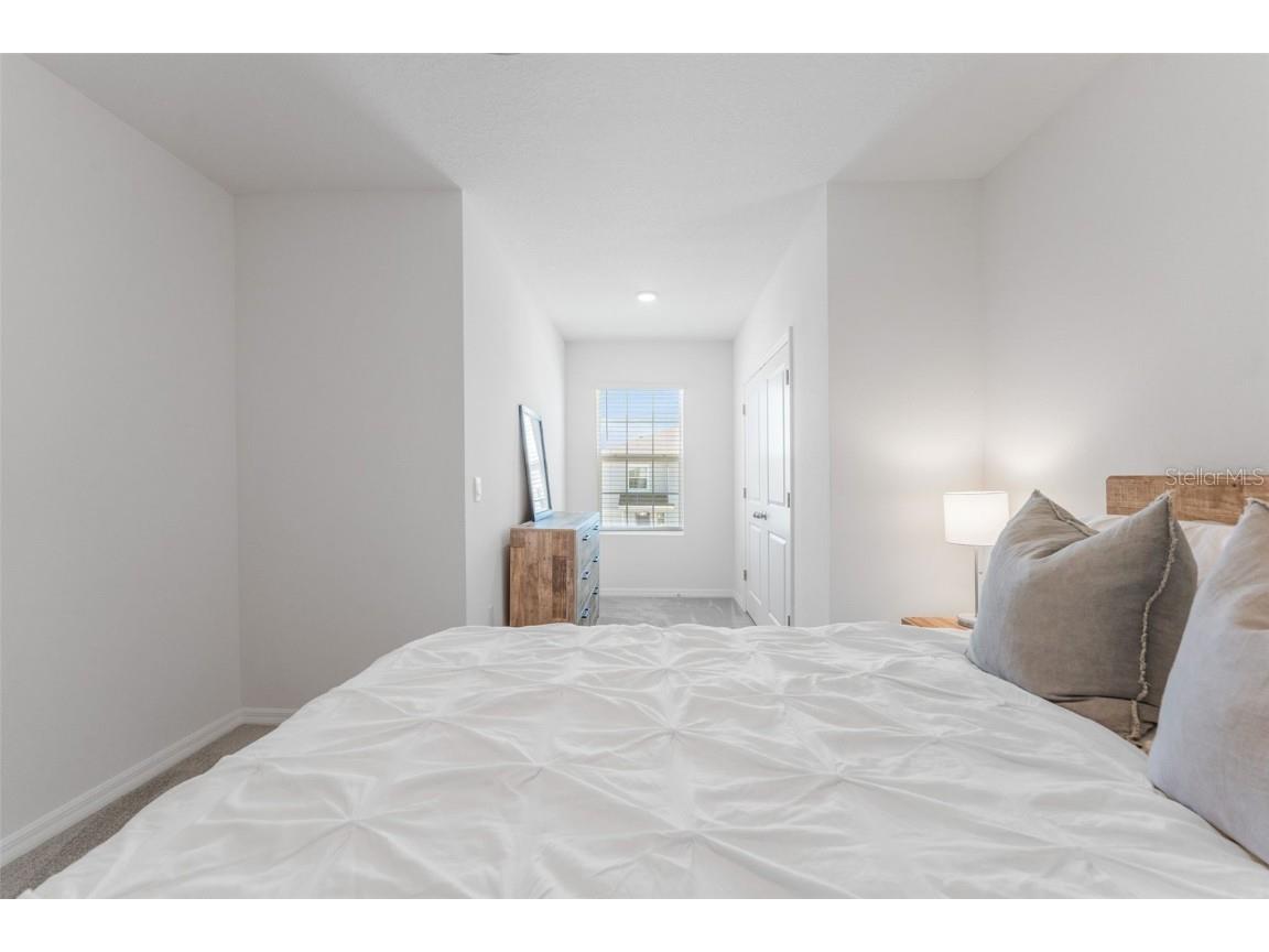 33105 Major Oak Drive Wesley Chapel FL 33545 TB8375021 image21